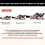 Climbing Rope for Sugar Gliders  Safe and Sturdy Pull Rope  Adjustable Pet Climbing Rope 4