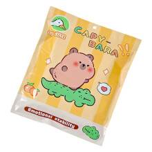 Educational Stationery for Kids, Scrapbooking Stationery for Girls Cute Capybara Cartoon Set
