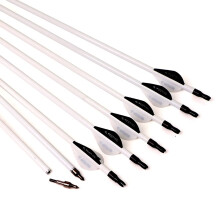 Spine 500 Archery Arrow Carbon 6.2 Mm Diameter 2330 Inch 12 Pack 29 Inch For Adult Youth Bow Hunting Target Practice