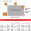 Dorm Bed Curtain Set for Students, Full Coverage Breathable Bunk Bed Privacy Curtains 4