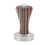 Buntes Holz 51mm Kaffee-Tamper, flache Basis 13