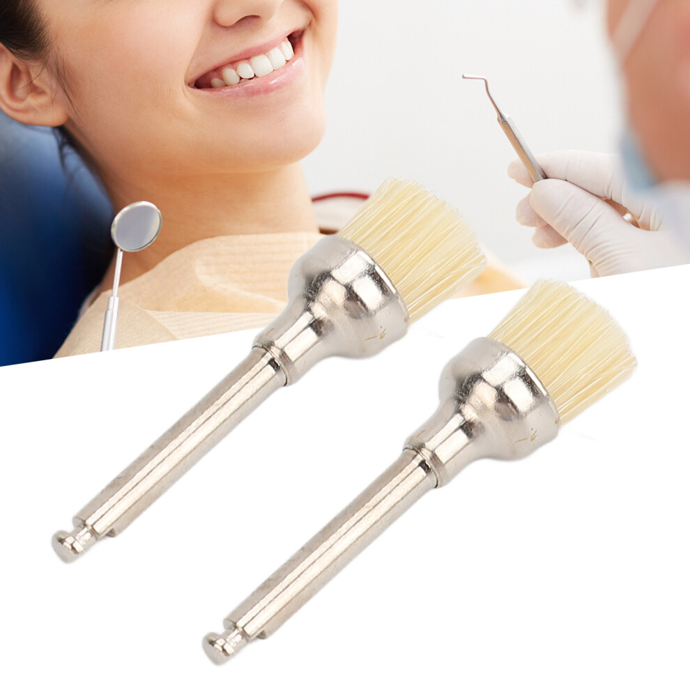 100pcs Professional Disposable Dental Teeth Cleaning Polishing Brush Set
