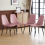 AINPECCA 4PCS Velvet Dining Chairs Rose Breakfast Metal Leg 1