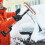 Snow Removal Tool, Extendable Car Ice Scraper, Windshield Brush, Orange 2