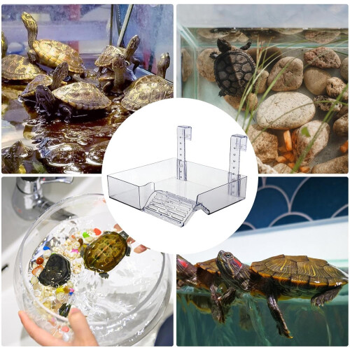 Sunbathing Area for Turtles  Floating Sun Ramp, Easy Access Climbing Stage 2