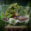 Sunbathing Area for Turtles  Floating Sun Ramp, Easy Access Climbing Stage 2