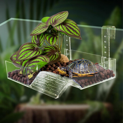 Sunbathing Area for Turtles  Floating Sun Ramp, Easy Access Climbing Stage 1