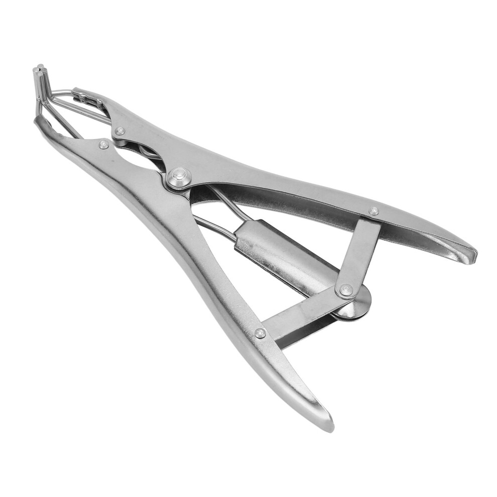 Professional Stainless Steel Castration Pliers for Pigs, Cattle & Sheep