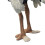 Realistische Straußenfigur, lebensecht, 8