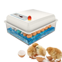 Egg Incubator 20Egg Capacity With Automatic Temperature Control Bionic Water Bed For Duck Goose Pigeon Quail Farming