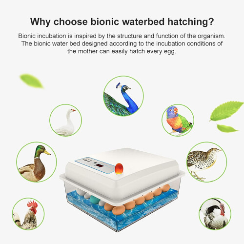 Egg Incubator 20Egg Capacity With Automatic Temperature Control Bionic Water Bed For Duck Goose Pigeon Quail Farming 2