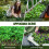 Weeder Puller Tool, Manual Weed Removal Tool, Root Extractor Stick, Garden Hand Weed, Soil 4