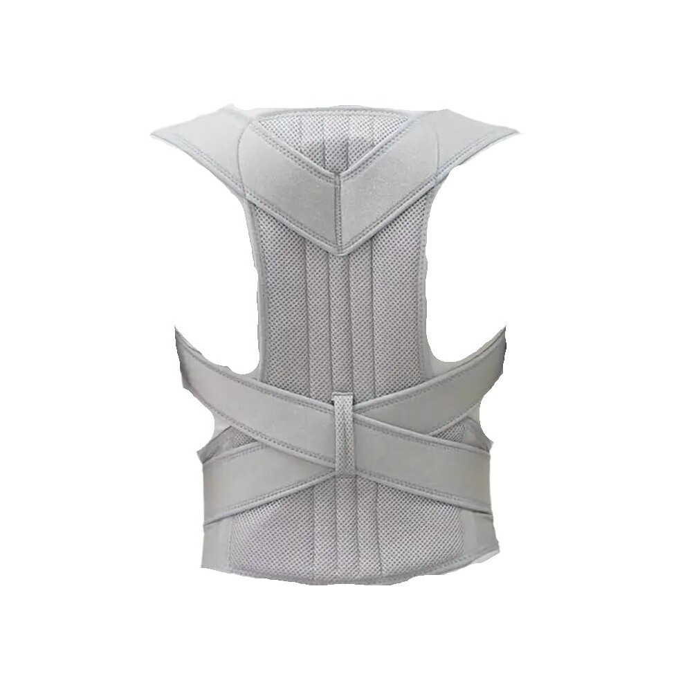 Light/Grey Adjustable Back Brace Unisex, Upper And Lower Lumbar Support, Spine Alignment And Posture Correction, Xl
