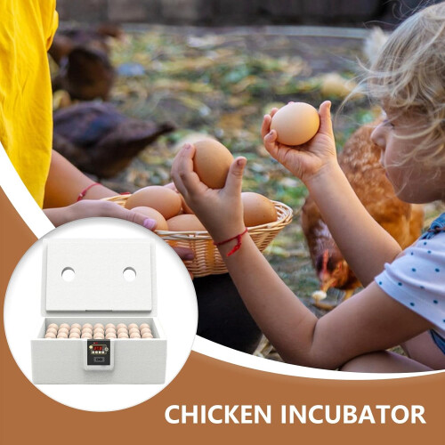 Egg Incubator Chick Brooder Heating Plate Full Automatic For Chicken Duck Quail Brooder Plate For Chicks Heat Lamp 1
