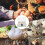 Egg Incubator Chick Brooder Heating Plate Full Automatic For Chicken Duck Quail Brooder Plate For Chicks Heat Lamp 3