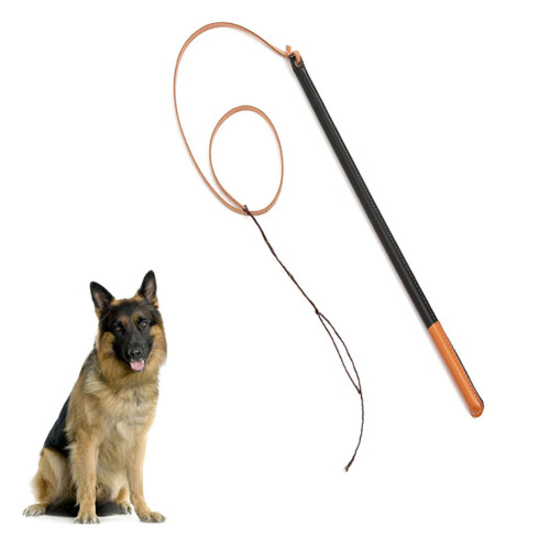 High-Quality Dog Training Whip - Rubber & Imitation Leather Material 1