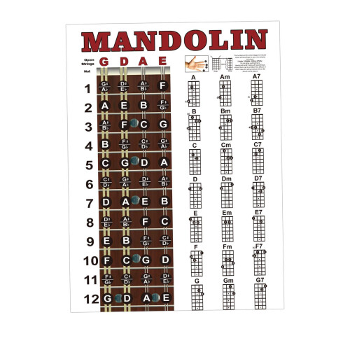 Mandolin Chords Chart Poster Reference Guide for Improving Mandolin Te 1