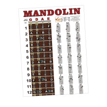 Mandolin Chords Chart Poster Reference Guide for Improving Mandolin Te