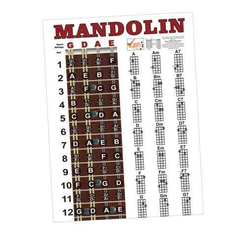 Mandolin Chords Chart Poster Reference Guide for Improving Mandolin Te