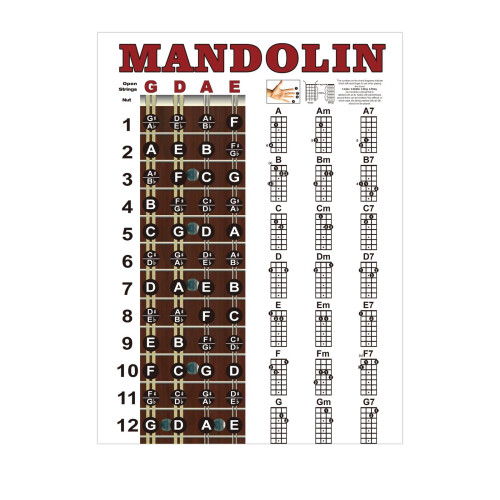 Mandolin Chords Chart Poster Reference Guide for Improving Mandolin Te 2