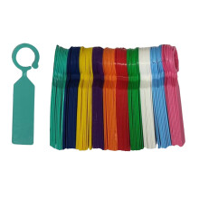 100 Pieces Hanging Plant Labels Garden Plant Tags for Vegetable Outdoo