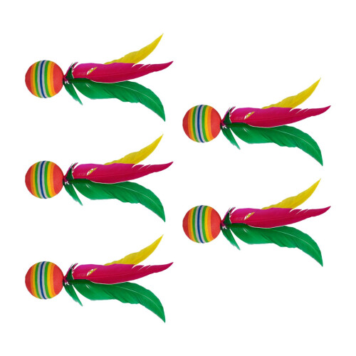 5x Badminton Shuttlecocks Game Feather Shuttlecocks for Exercise Beach