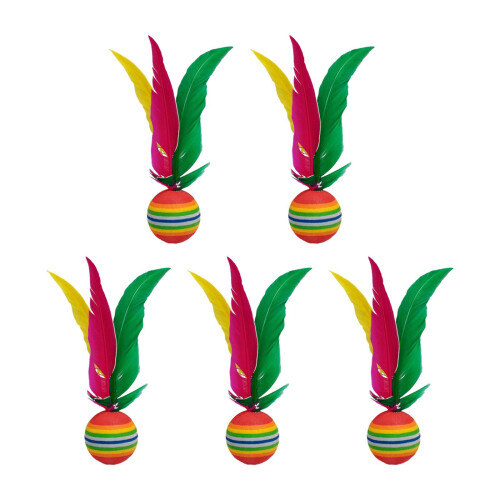 5x Badminton Shuttlecocks Game Feather Shuttlecocks for Exercise Beach 1