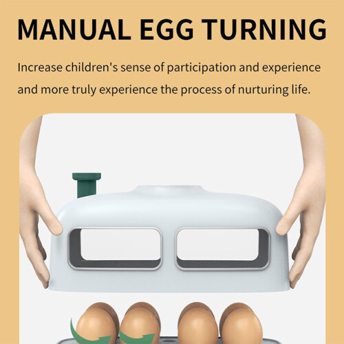 Egg Incubator 8Egg Capacity, Manual Turning Hatcher with LED Temperature Display, Visual Window, for Chickens 1