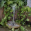 Solarpowered pump 5