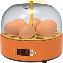 Incubators Automatic Incubator For Hatching Eggs Digital Incubator With Temperature Controller LCD Display