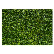 Fondo para decoraciones de fiestas, duradero y resistente al desgaste, fácil de plegar, de tela de vinilo de primera calidad con estampado de hojas