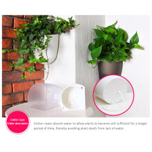 Small Self-Watering Wall Planter Perfect for Corners & Mini Plants