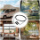RV Cargo Net for Cabinets, Adjustable FallResistant Storage Organizer, Stretchable RV Interior Fit 2