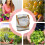 Garden Harvest Apron with Adjustable Shoulder Strap, Large Foldable Fruit and Vegetable Picking Bag 2