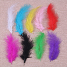 Party & Wedding Feathers 300Pcs in Bright Colors for DIY Decorations
