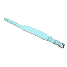 Adjustable Weightlifting Belt for Men Women, 130cm, Blue
