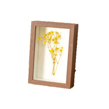Photo Frame InchSized Specimen Box Wood Square Frame For Dried Flowers Hollow Display Frame Walnut