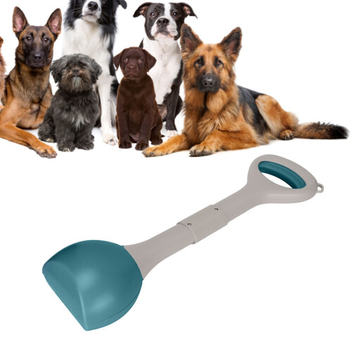 Großer grüner Hundekotpicker mit Griff & spülbarem tragbarem Design 2