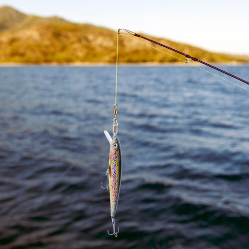 Λεπτό δόλωμα ψαρέματος Minnow, ευρεία δράση αναζήτησης για συναρπαστικές 2