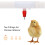 Chicken Waterer Nipple Cups 20 Sets Automatic Drinking System G3/4 T Joints 9