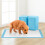 100 Pack Puppy Training Pads 86x70cm Super Absorbent 7