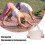Multi-Function Yoga Pilates Mat Bag Canvas Polyester Portable Carryall 7