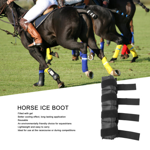 Horse Ice Pack Pro Reusable Leg Wrap - Hock/Ankle 2