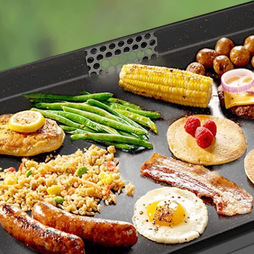 Πλάκα ψησίματος BBQ, πλάκα ψησίματος λίπους, πλέγμα από ανοξείδωτο ατσάλι, 2
