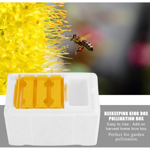 Harvest Beehive Beekeeping King Box Pollinating Tool Beekeeping Supplies 2
