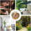 Hexagon Bee House for Bee Butterfly Ladybugs Live,Bee Box 5