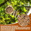 Hexagon Bee House for Bee Butterfly Ladybugs Live,Bee Box 4