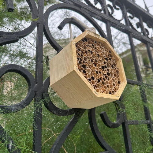 Hexagon Bee House for Bee Butterfly Ladybugs Live,Bee Box 1
