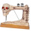 Skeleton Sewing Machine Figurine Prank Voice Controlled Halloween Deco 2