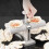 Dumpling Mold, Automatic Double Head Dumpling Mold, Manual Dumpling Press for Home, Kitchen Tools for Dumplings 3